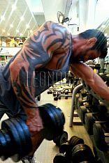 Norbert Escort Masculino