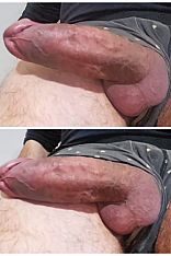 Norbert Acompañante masculino