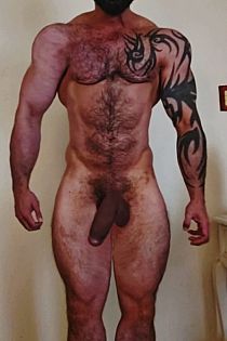 Norbert Escort Masculino