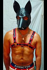 Photo #1 of Lisandro