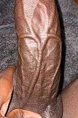 Ronald Escort Masculino