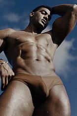 Mr. Roger Acompañante masculino