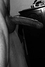 Tincho Escort Masculino