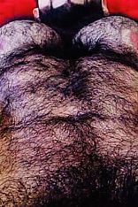 Macho Peludo