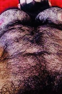 Macho Peludo Escort Masculino