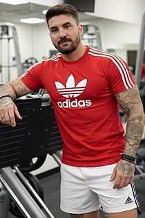 Gino Masajista masculino