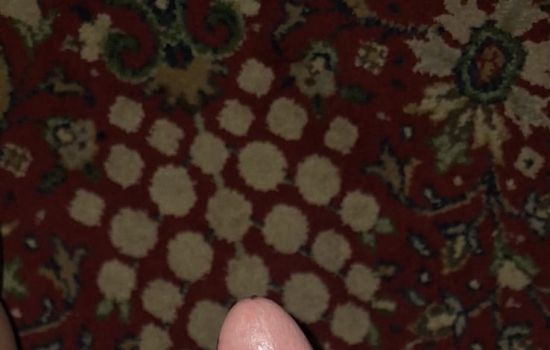 Nico Ruiz Escort Masculino