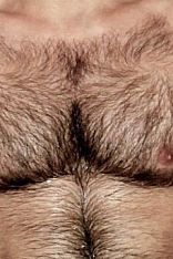 Alex Montiel Male Escort