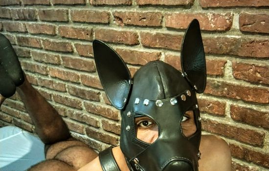 Pup Relax Escort Masculino