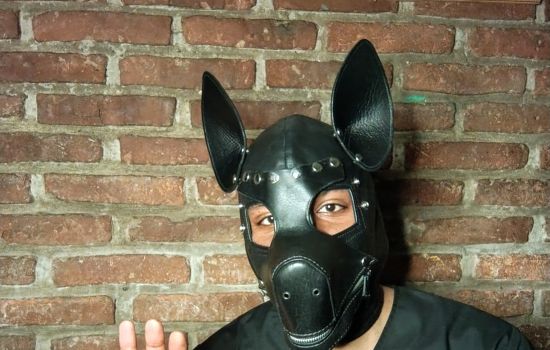 Cachorro Relax Male Escort