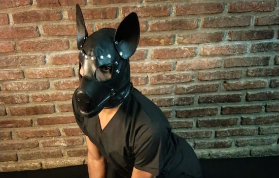 Cachorro Relax Male Masseur