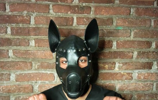Cachorro Relax Male Masseur