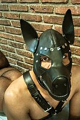 Pup Relax Escort Masculino