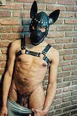 Cachorro Relax Escort Masculino