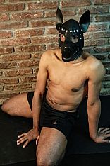 Photo #7 of Cachorro Relax