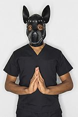 Photo #1 of Cachorro Relax