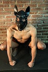 Photo #3 of Cachorro Relax
