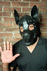 Cachorro Relax Male Escort