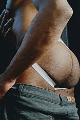 Cachorro Relax Escort Masculino