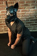 Cachorro Relax Male Masseur