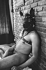 Photo #2 of Cachorro Relax