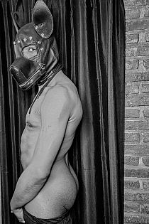 Cachorro Relax Male Escort