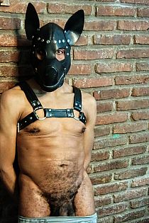 Cachorro Relax Escort Masculino