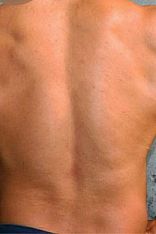 Máximo H. Escort Masculino