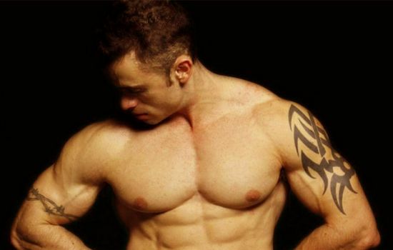 El Toro Escort Masculino