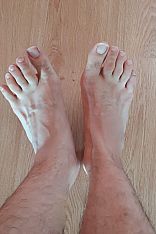 Fran Escort Masculino