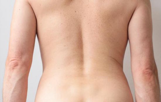Edu One Escort Masculino