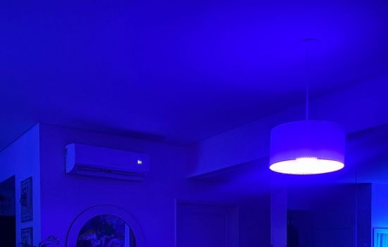 Alito Masajista masculino