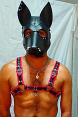 Anubis Escort Masculino