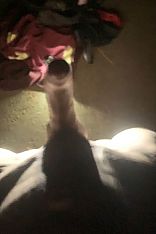 Photo #4 of Simón Ch.