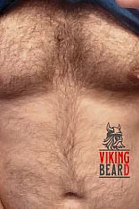 Viking Bear D Male Escort