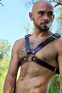 Cerdo Rosarino Escort Masculino
