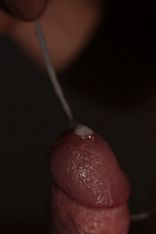 Photo #40 of Apolo Ginger