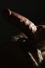 Photo #39 of Apolo Ginger