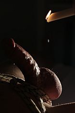 Photo of Apolo Ginger