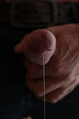 Photo of Apolo Ginger