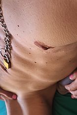 Foto #2 de Jess Trans Boy