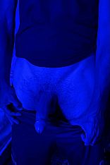 Gabriel Turro Male Escort