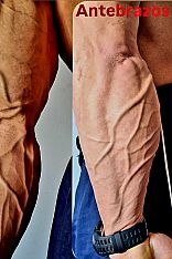 Photo #38 of ITALIAN FORCE