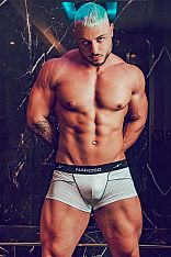 Aquiles Escort Masculino