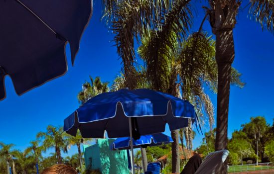 Feli Escort Masculino