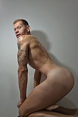 Feli Male Escort