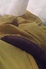 Daniel Betancor Es Escort Masculino