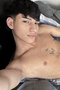 Leoncito Escort Masculino