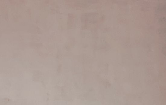 Leonino Escort Masculino