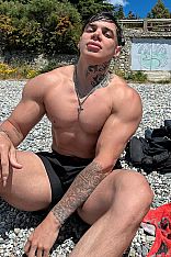 Photo #12 of Maico Exótico Trans